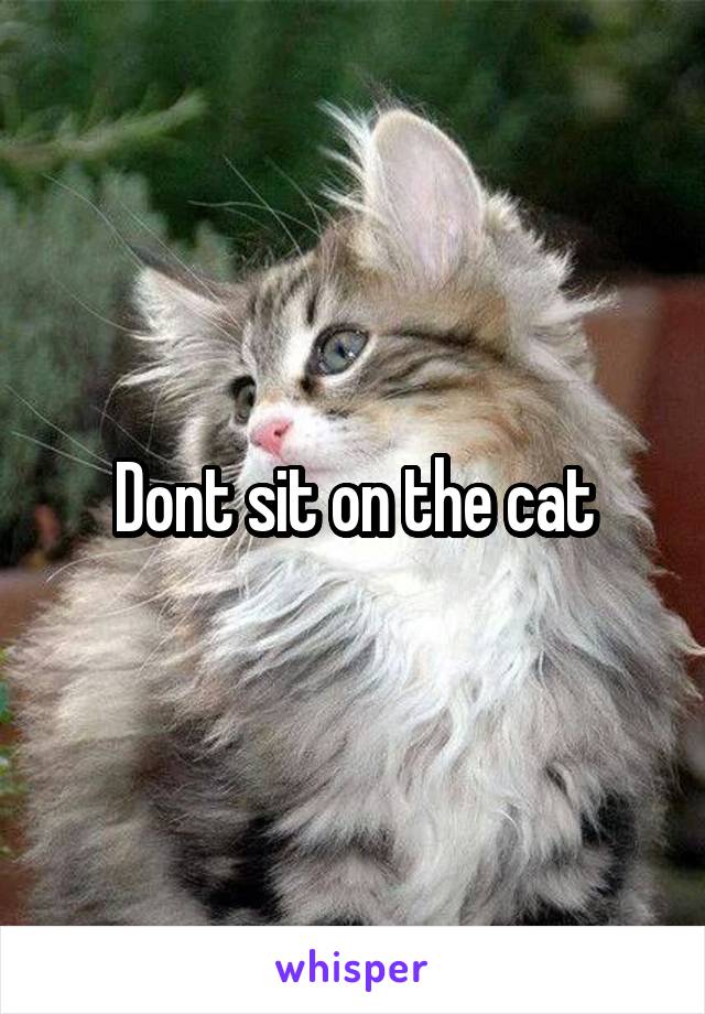 Dont sit on the cat