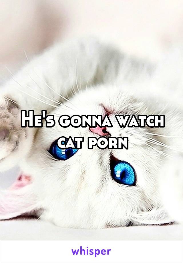 He's gonna watch cat porn