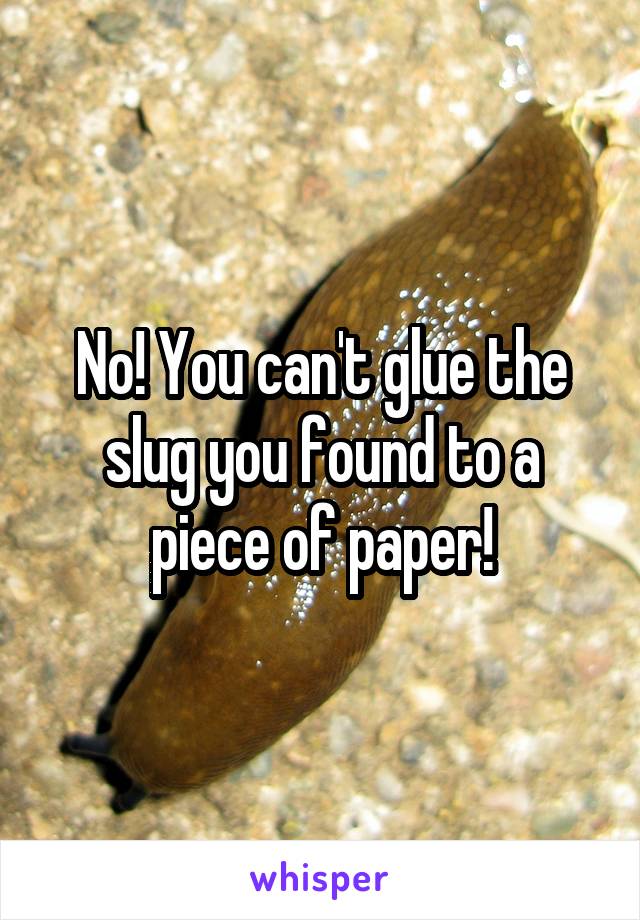 No! You can't glue the slug you found to a piece of paper!