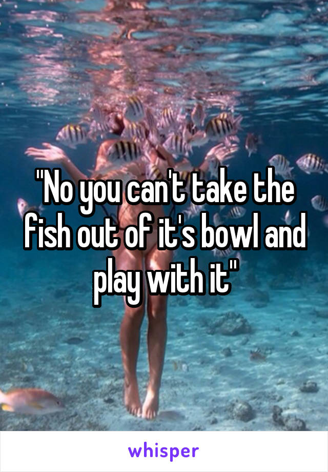"No you can't take the fish out of it's bowl and play with it"