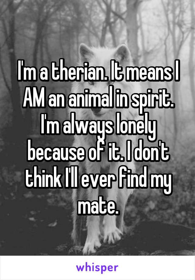 I'm a therian. It means I AM an animal in spirit. I'm always lonely because of it. I don't think I'll ever find my mate.