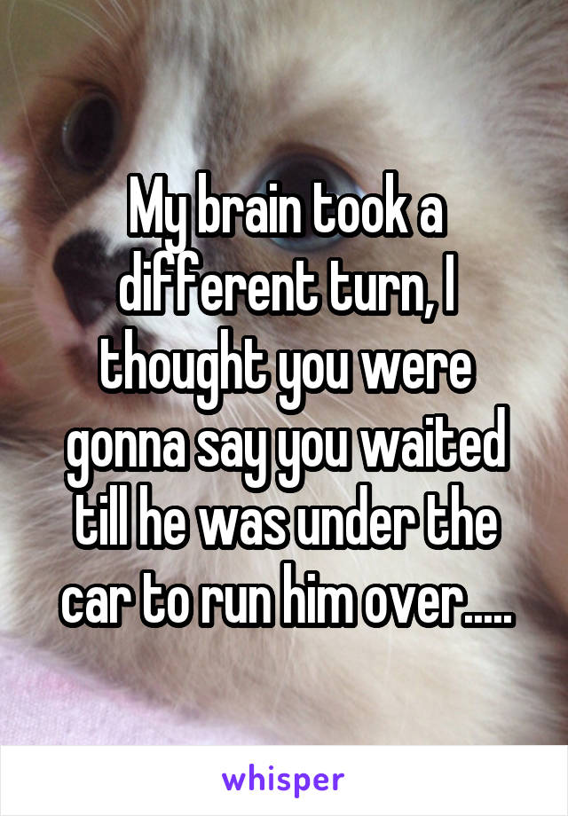 My brain took a different turn, I thought you were gonna say you waited till he was under the car to run him over.....