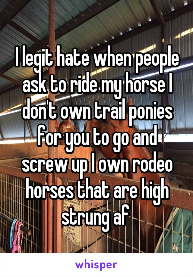 I legit hate when people ask to ride my horse I don't own trail ponies for you to go and screw up I own rodeo horses that are high strung af 