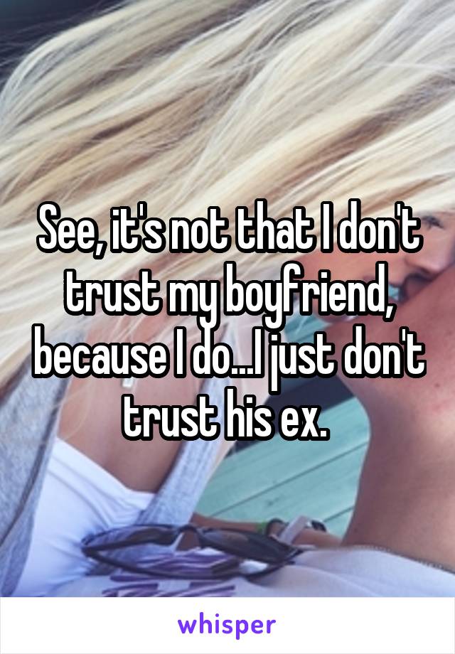 See, it's not that I don't trust my boyfriend, because I do...I just don't trust his ex. 
