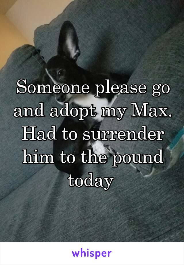 Someone please go and adopt my Max. Had to surrender him to the pound today 
