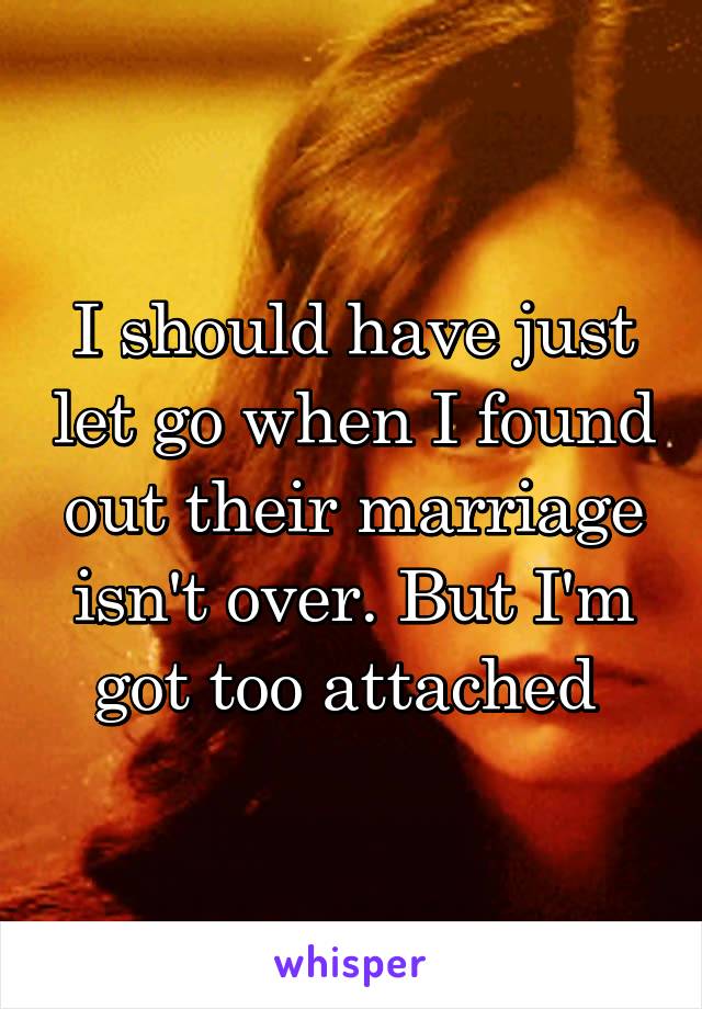I should have just let go when I found out their marriage isn't over. But I'm got too attached 