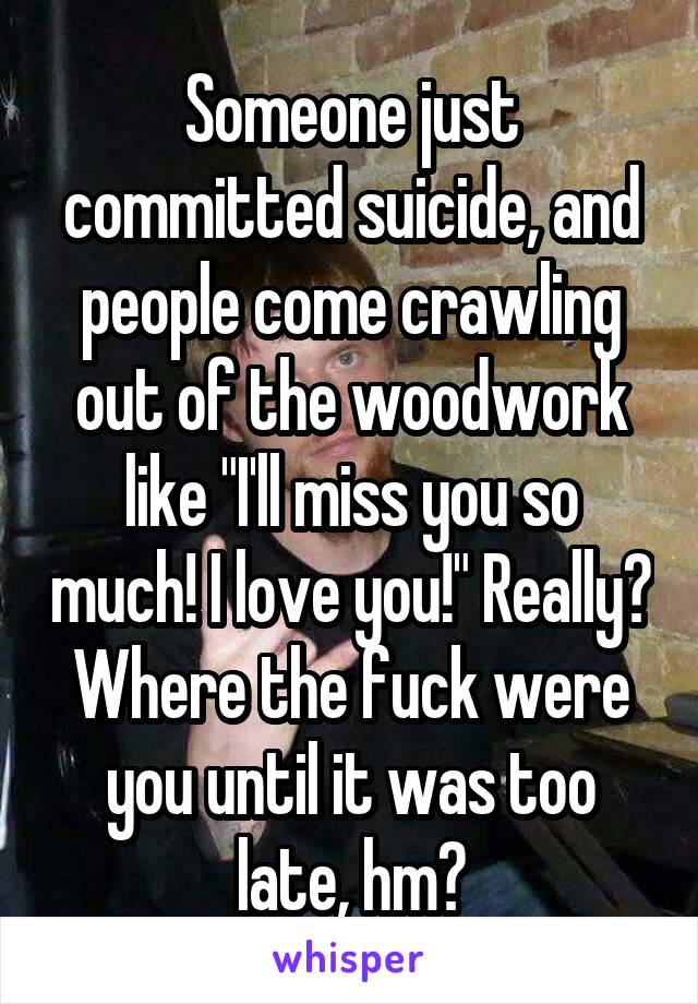 Someone just committed suicide, and people come crawling out of the woodwork like "I'll miss you so much! I love you!" Really? Where the fuck were you until it was too late, hm?