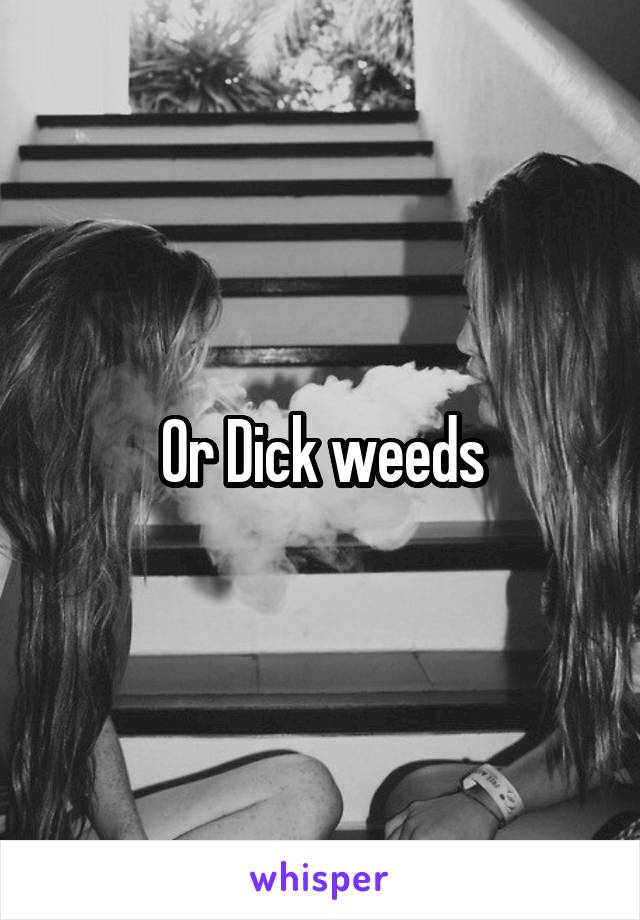 Or Dick weeds