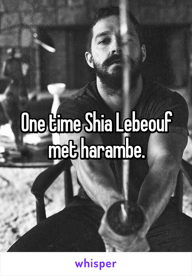 One time Shia Lebeouf met harambe.