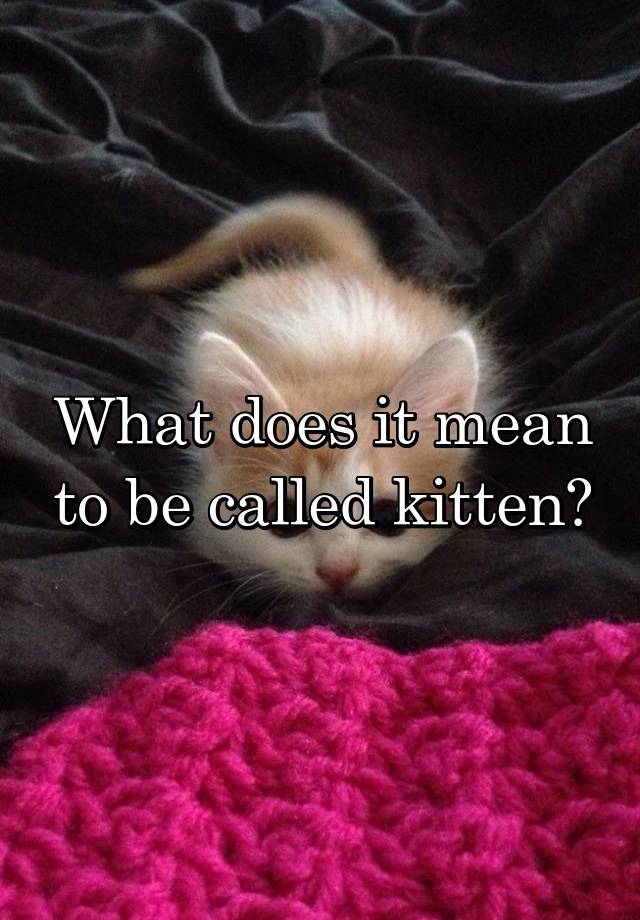 what-does-it-mean-to-be-called-kitten