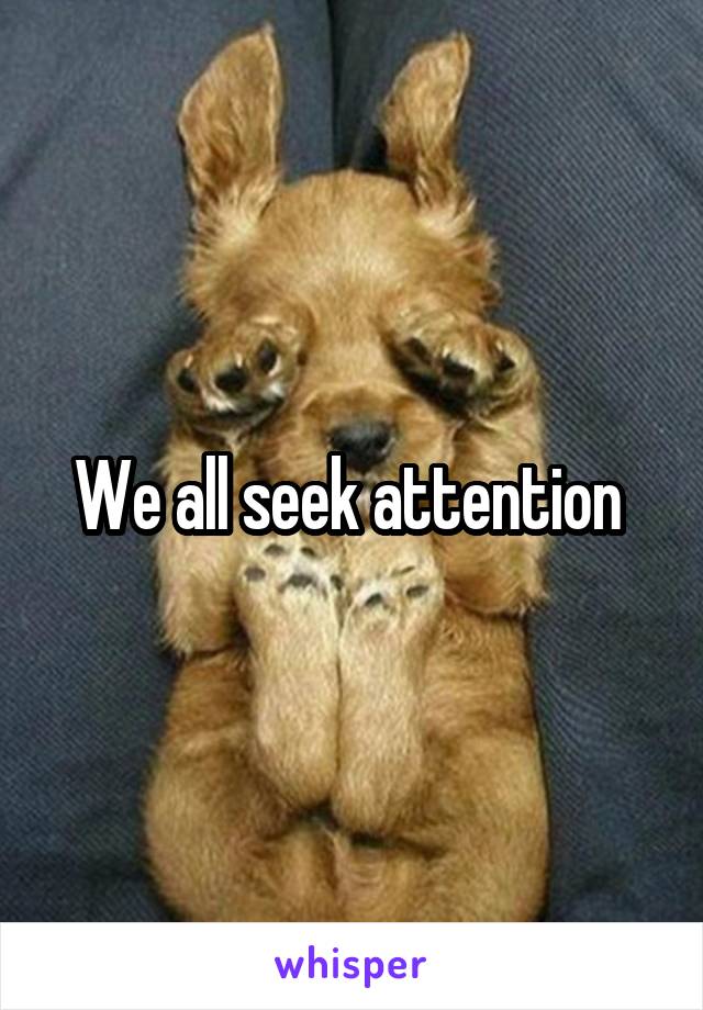 We all seek attention 