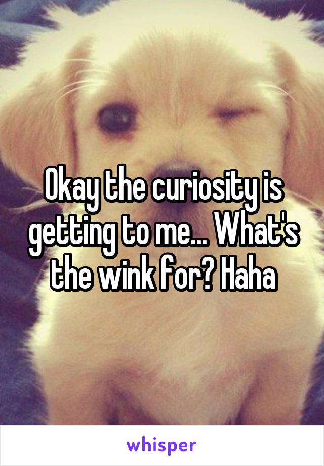 Okay the curiosity is getting to me... What's the wink for? Haha