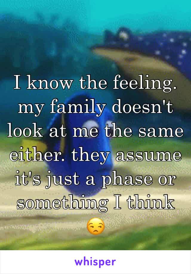 I know the feeling. my family doesn't look at me the same either. they assume it's just a phase or something I think 😒