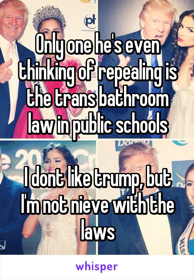 Only one he's even thinking of repealing is the trans bathroom law in public schools

I dont like trump, but I'm not nieve with the laws