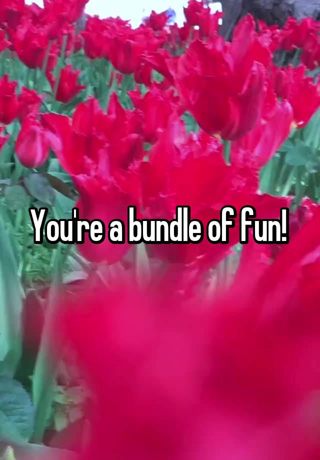 you-re-a-bundle-of-fun