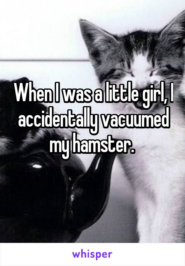 When I was a little girl, I accidentally vacuumed my hamster. 
