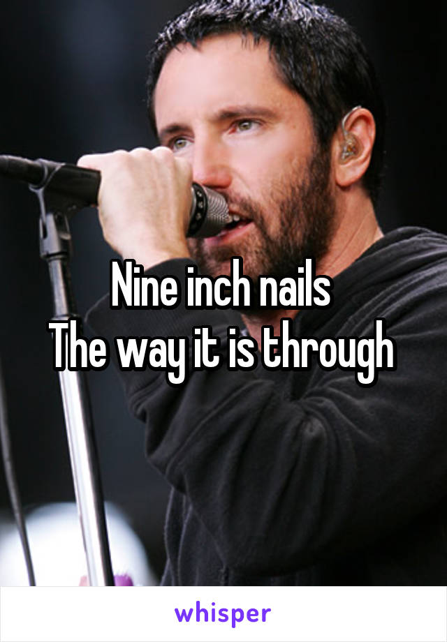 Nine inch nails 
The way it is through 