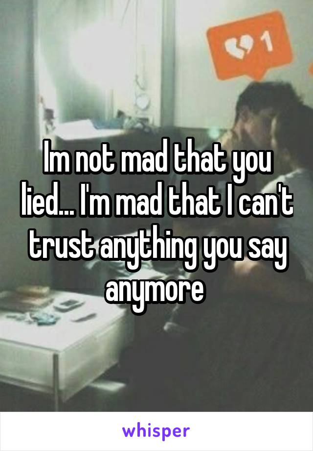 Im not mad that you lied... I'm mad that I can't trust anything you say anymore 