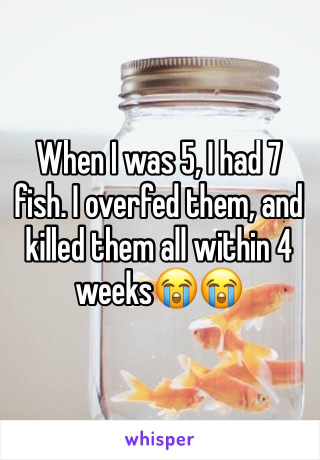 When I was 5, I had 7 fish. I overfed them, and killed them all within 4 weeks😭😭