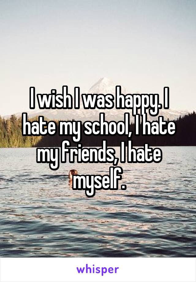 I wish I was happy. I hate my school, I hate my friends, I hate myself.