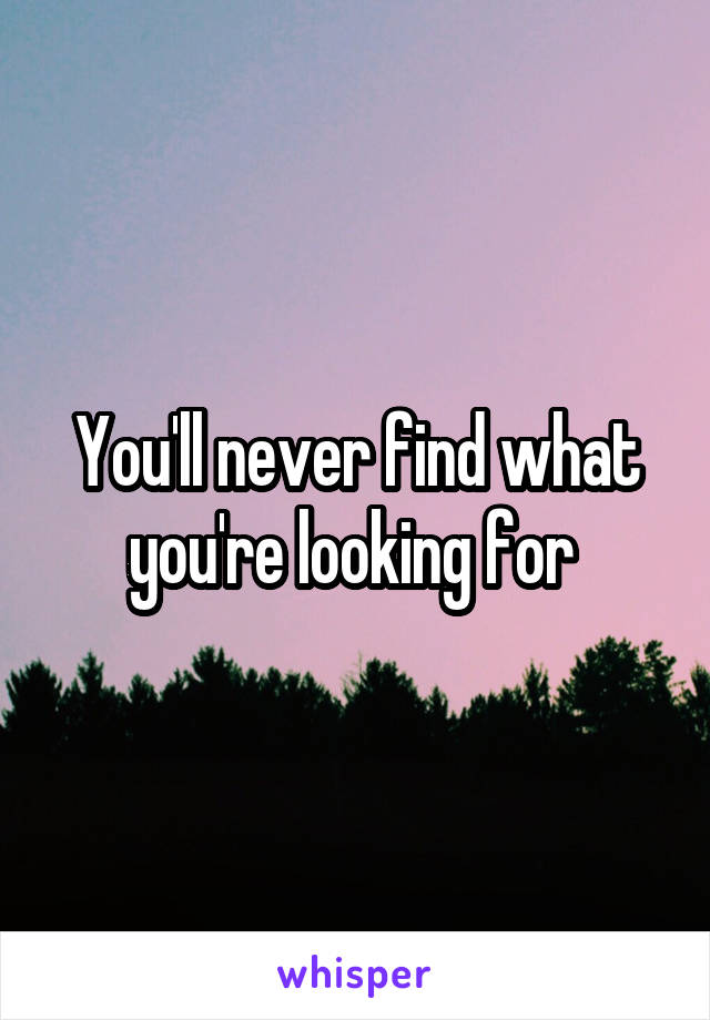 You'll never find what you're looking for 