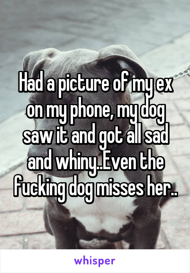 Had a picture of my ex on my phone, my dog saw it and got all sad and whiny..Even the fucking dog misses her..