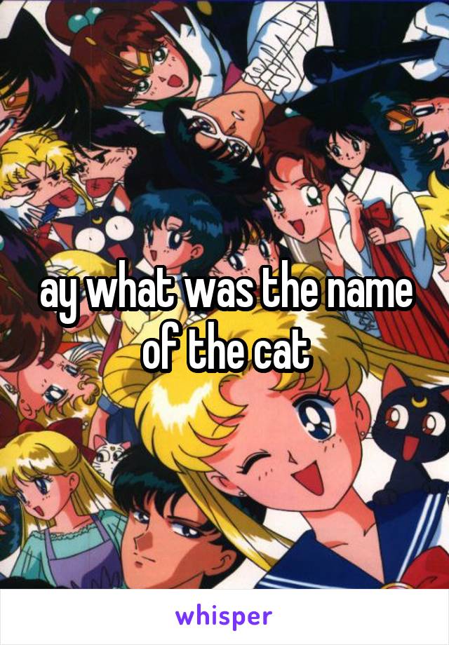 ay what was the name of the cat