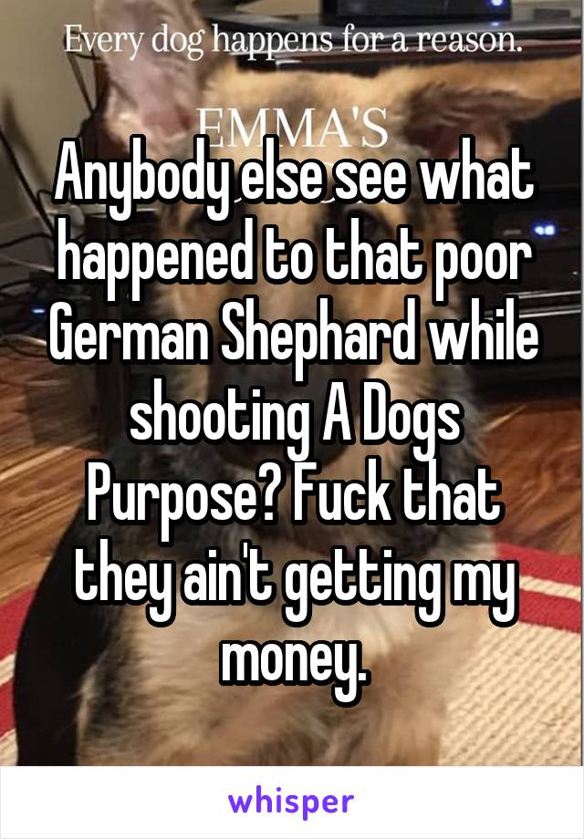 Anybody else see what happened to that poor German Shephard while shooting A Dogs Purpose? Fuck that they ain't getting my money.