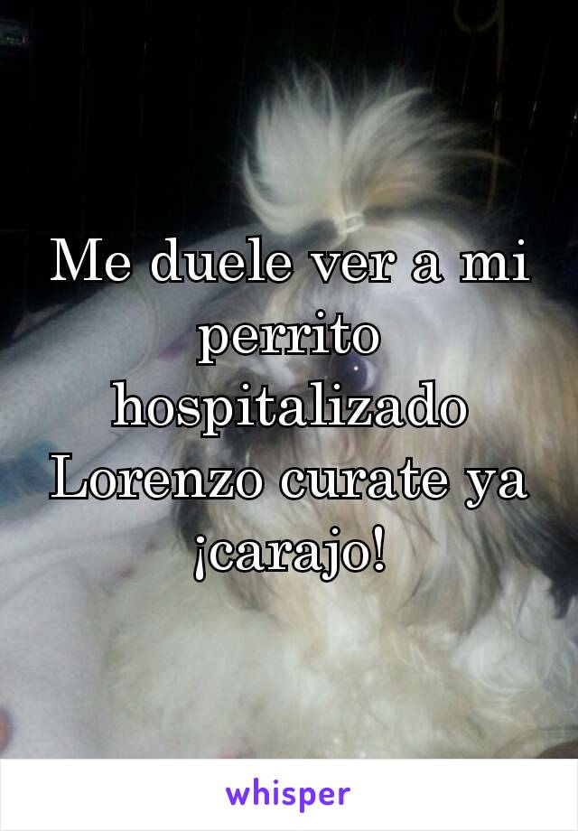 Me duele ver a mi perrito hospitalizado
Lorenzo curate ya ¡carajo!