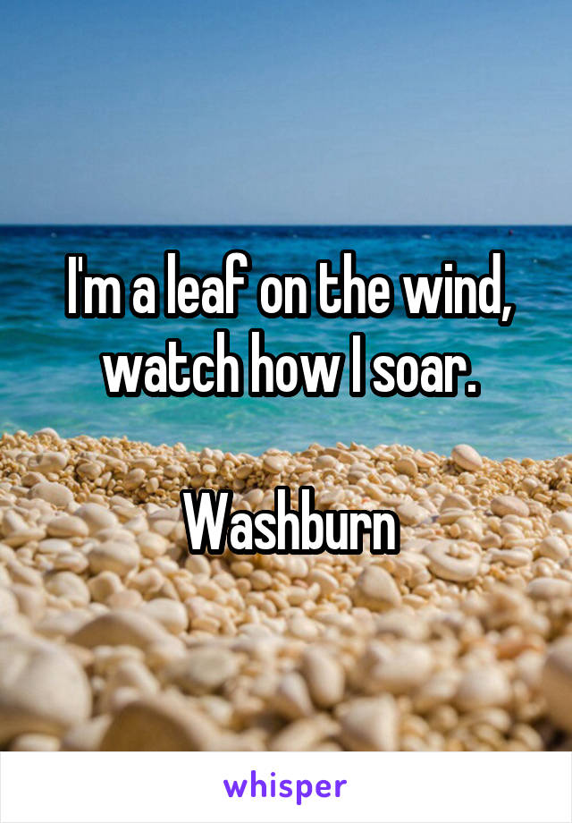 I'm a leaf on the wind, watch how I soar.

Washburn