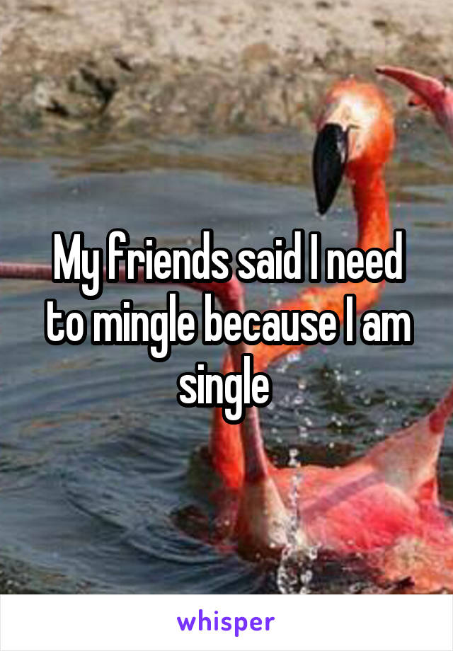 My friends said I need to mingle because I am single 