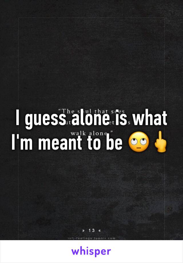 I guess alone is what I'm meant to be 🙄🖕