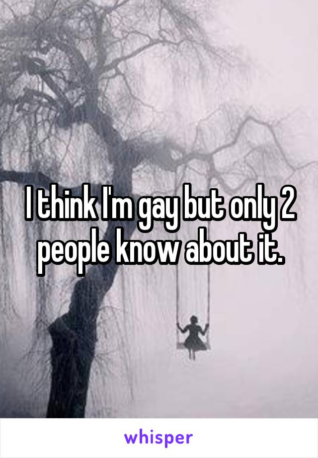 I think I'm gay but only 2 people know about it.