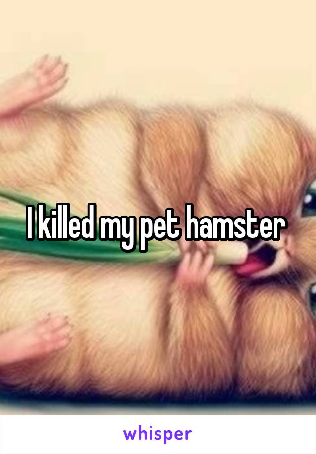 I killed my pet hamster 