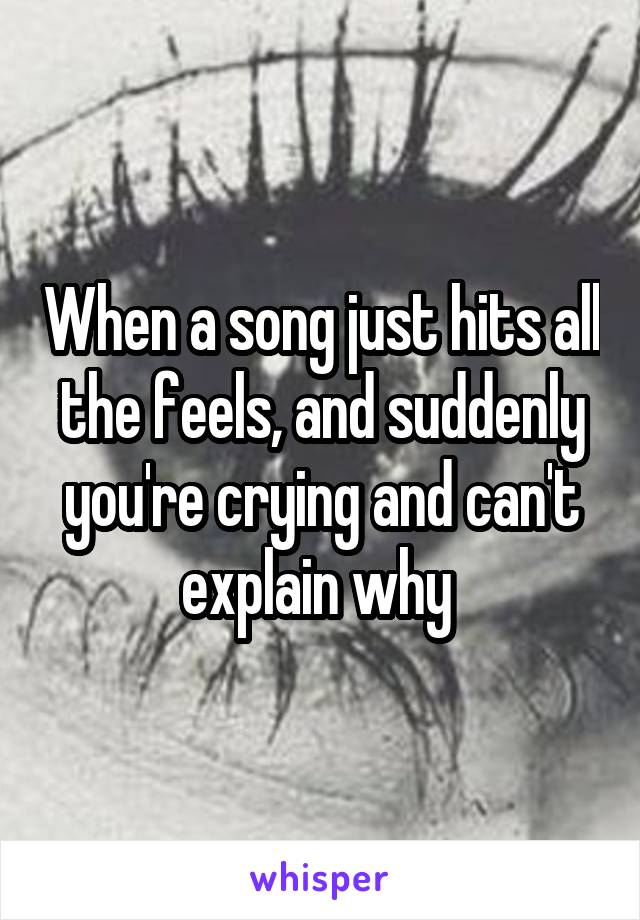 When a song just hits all the feels, and suddenly you're crying and can't explain why 