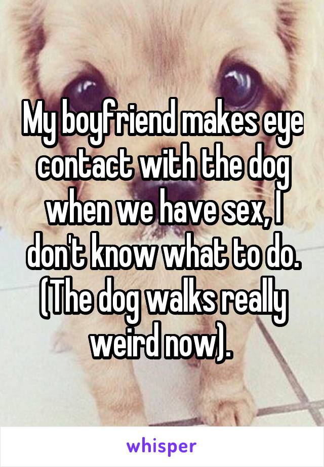 My boyfriend makes eye contact with the dog when we have sex, I don't know what to do. (The dog walks really weird now). 