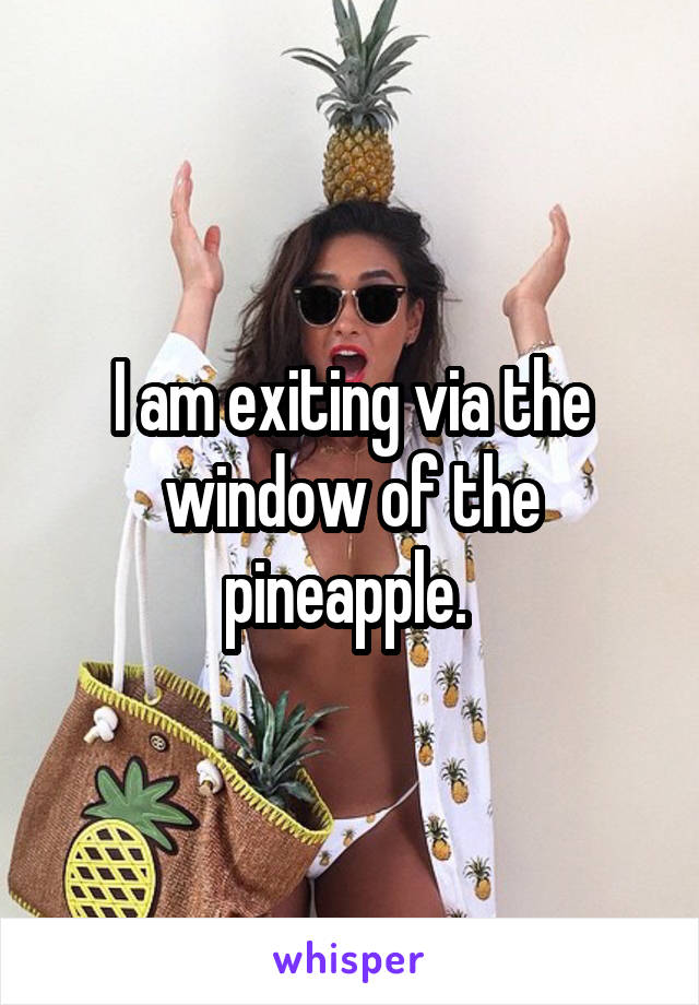 I am exiting via the window of the pineapple. 