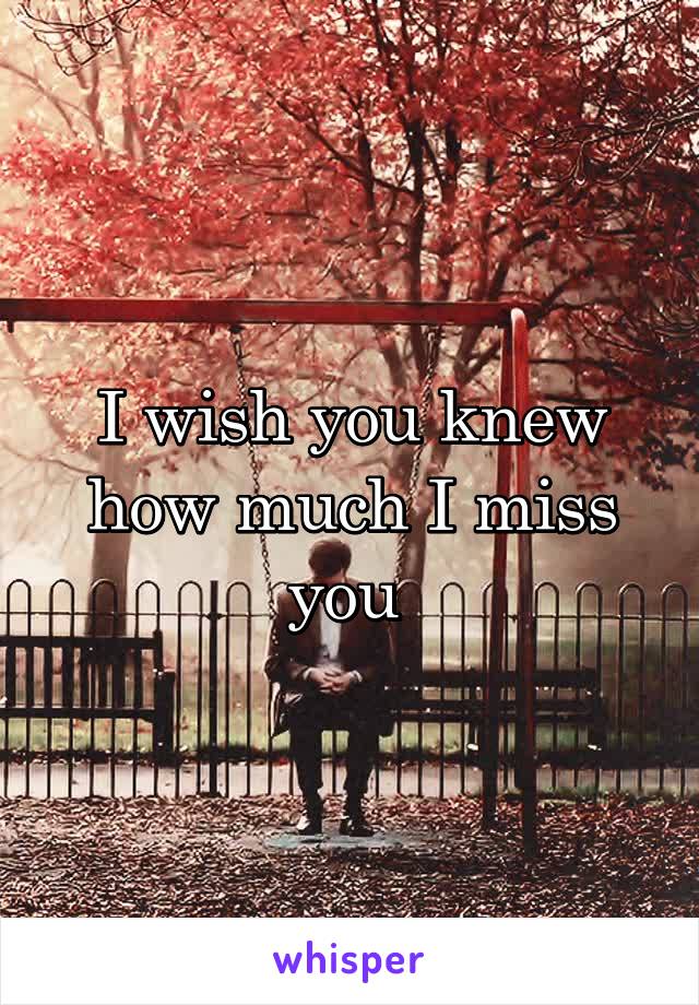 I wish you knew how much I miss you 