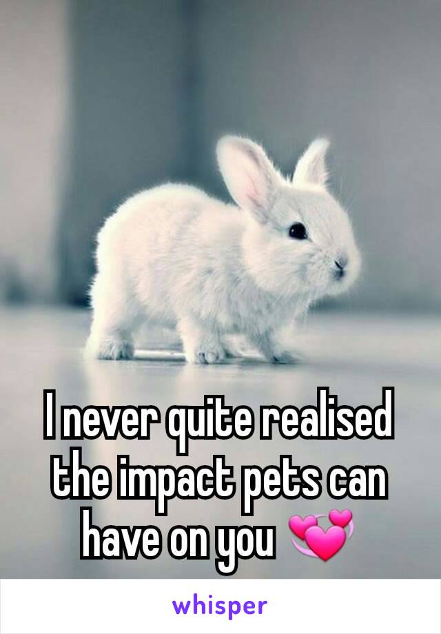 I never quite realised the impact pets can have on you 💞