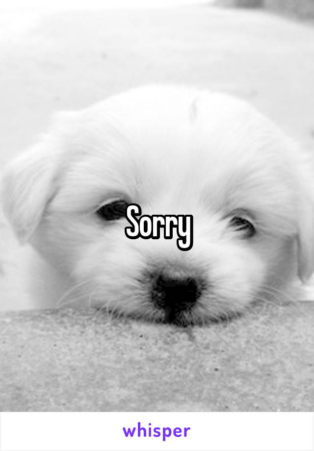 Sorry