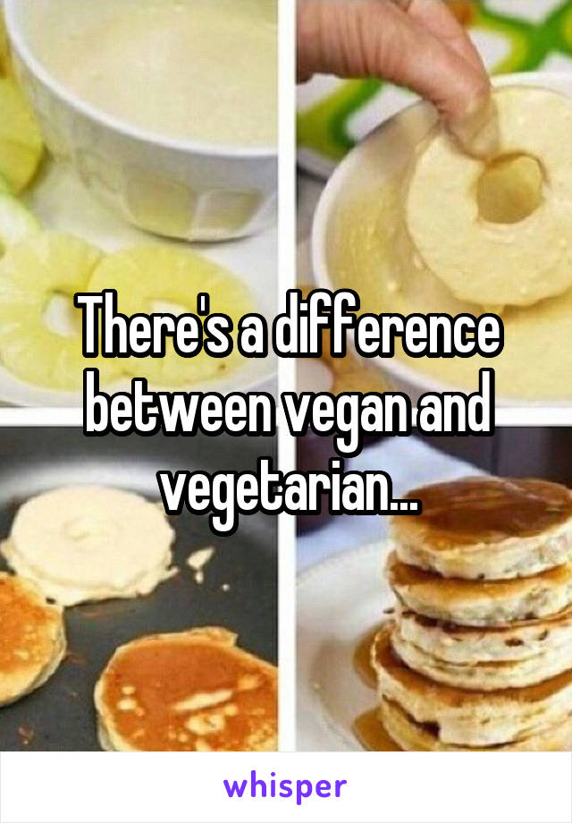 There's a difference between vegan and vegetarian...