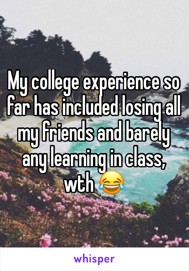 My college experience so far has included losing all my friends and barely any learning in class, wth 😂