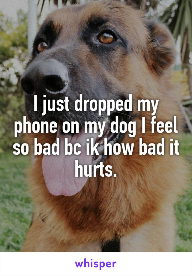 I just dropped my phone on my dog I feel so bad bc ik how bad it hurts.