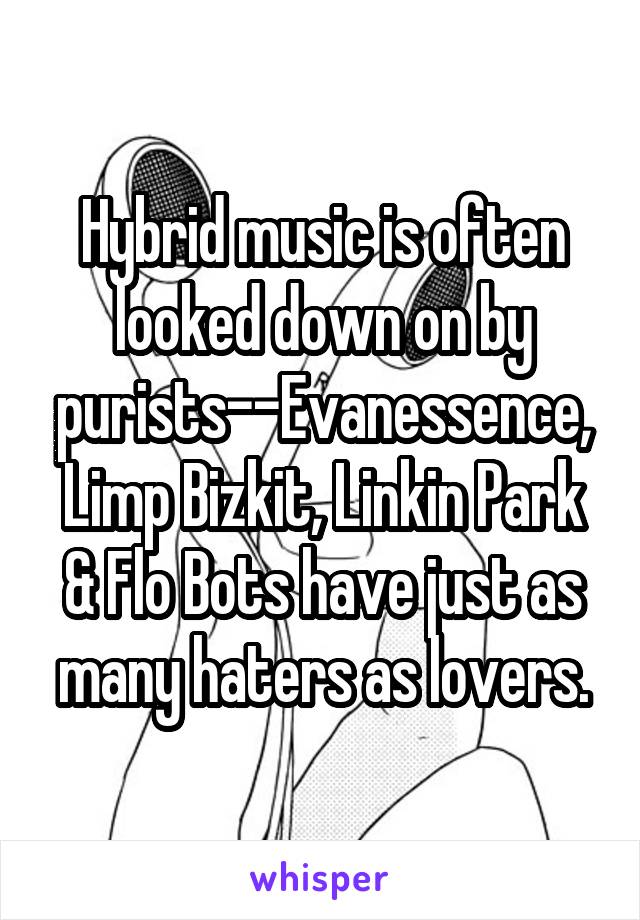 Hybrid music is often looked down on by purists--Evanessence, Limp Bizkit, Linkin Park & Flo Bots have just as many haters as lovers.