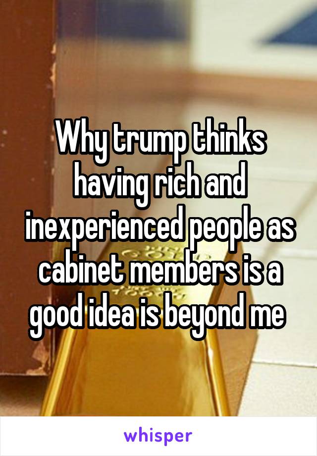 Why trump thinks having rich and inexperienced people as cabinet members is a good idea is beyond me 