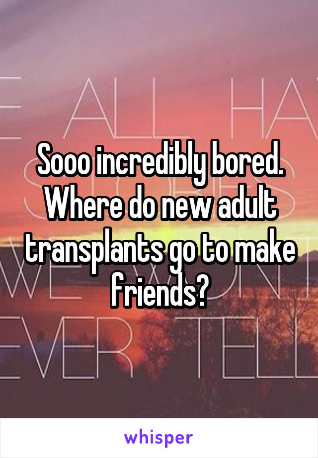 Sooo incredibly bored. Where do new adult transplants go to make friends?