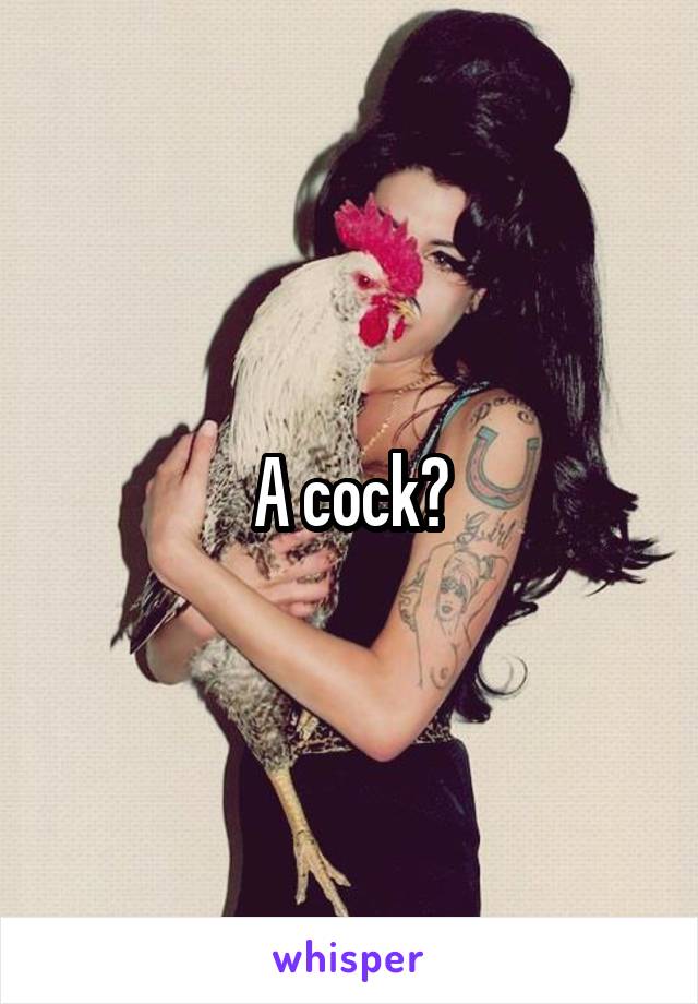 A cock?