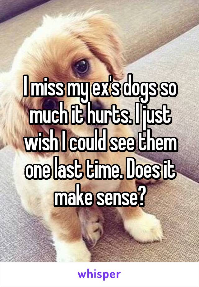 I miss my ex's dogs so much it hurts. I just wish I could see them one last time. Does it make sense?