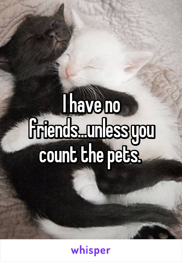 I have no friends...unless you count the pets. 