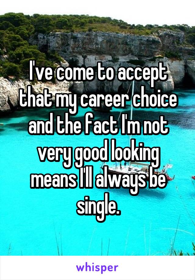 I've come to accept that my career choice and the fact I'm not very good looking means I'll always be single.